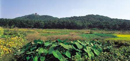 05익산배산